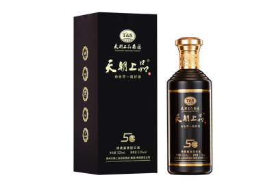 商務(wù)5G（黑色）