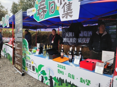 天朝上品葡萄酒亮相“三月三民族文化節(jié)”